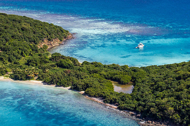 magia di natura - tamarindo foto e immagini stock