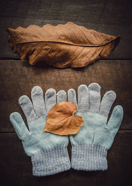 istock winter gloves on wooden boards 508961138