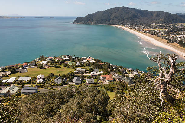istock sandy beach at Bay of Plenty 508962599