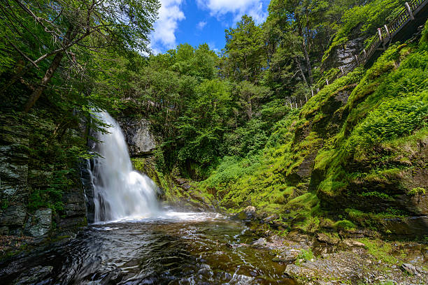 bushkill wasserfall - flowing water stream moss river stock-fotos und bilder