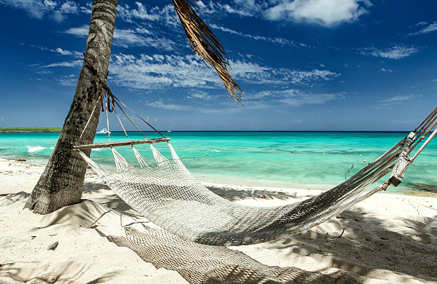 istock Beach in Dominican Republic 508963044