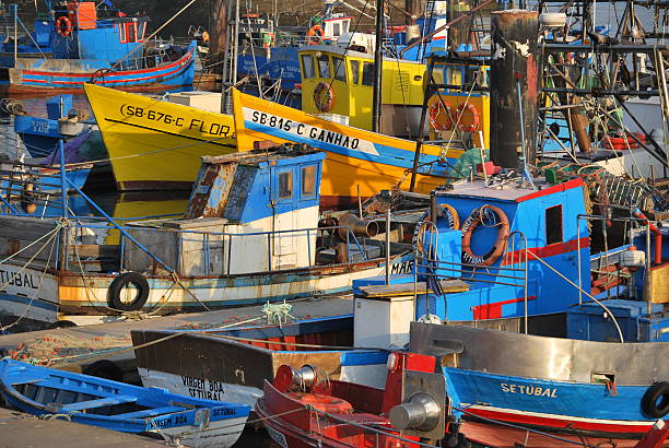 Colourful boats at fishing port Setúbal fishing port, Portugal, March 13, 2010: Colourful fishing boats at Setúbal fishing port setúbal city portugal stock pictures, royalty-free photos & images