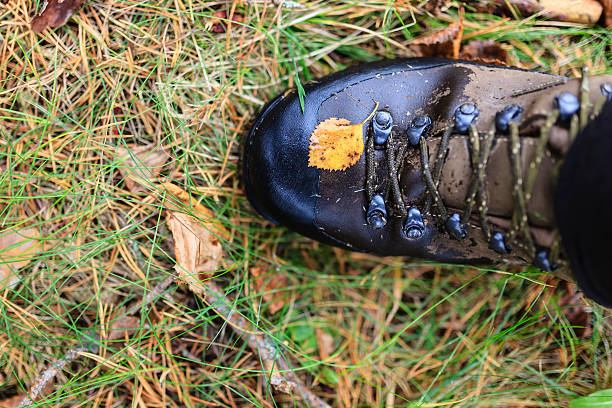 istock Yellow autumn leaf on a trekking boot 508963851