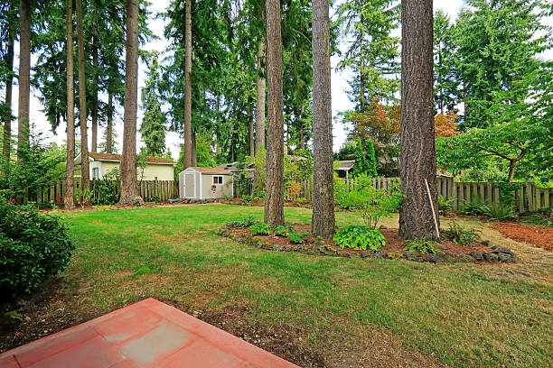 istock Counryside house backyard with trees 508964615