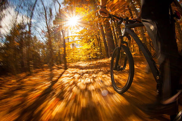 istock Mountain biking along a trail through the woods 508964654
