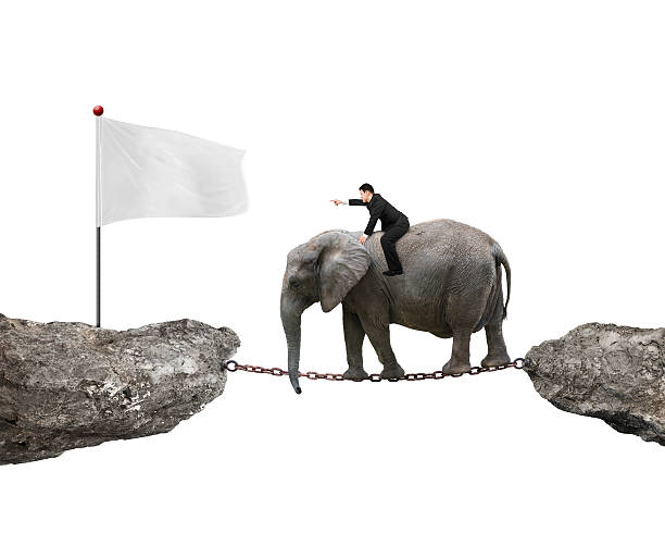 istock Businessman with pointing finger riding elephant toward white flag 508966002