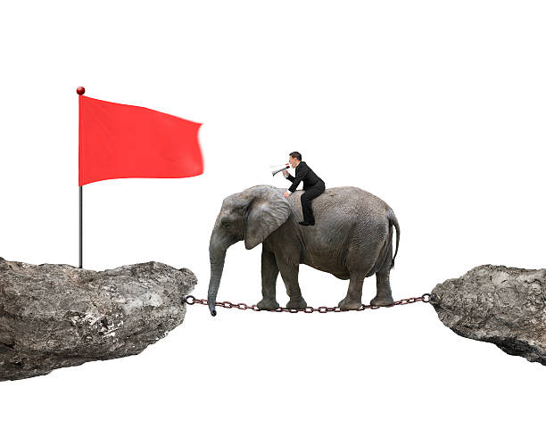 istock Businessman with using speaker riding elephant toward red flag 508966166