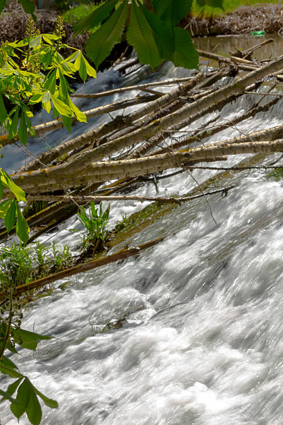 istock light cascading clear water in a calm river 508966225