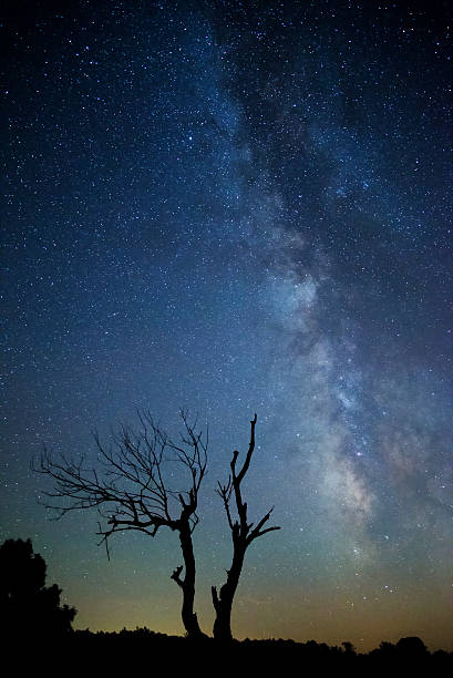 istock Milky Way, Shenandoah NP, VA 508966276