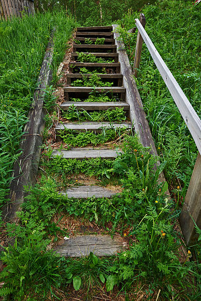 istock old wooden staircase in the green 508966835