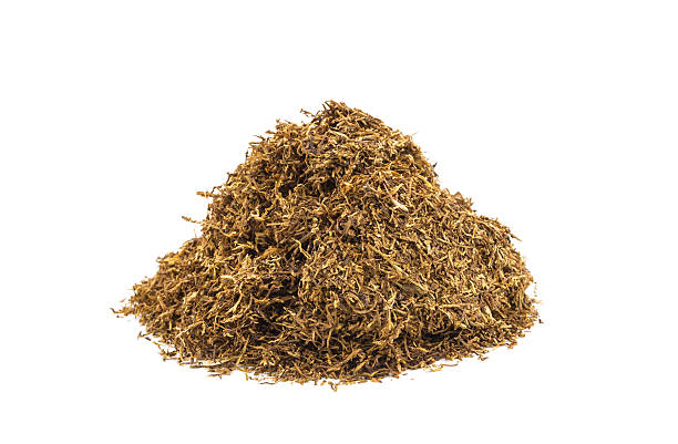 istock Tobacco on white background 508967289