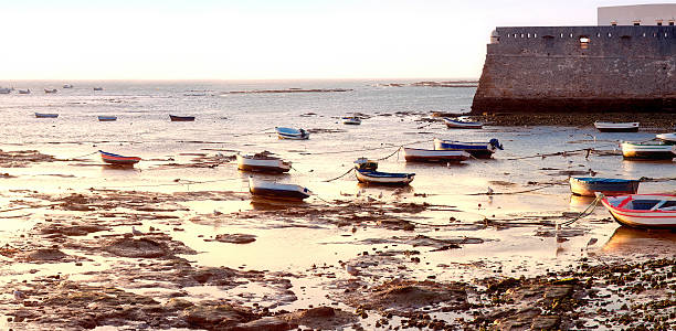 istock wall castle of Santa Catalina with aged ships on forefront 508968078