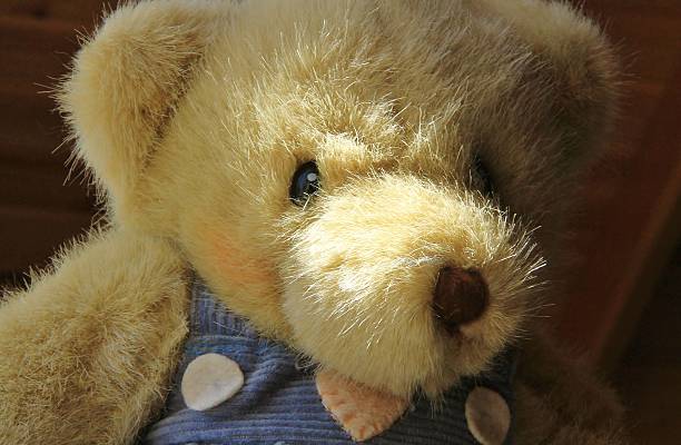 istock Close up of teddy bear 508969696