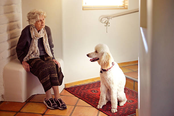 istock Senior Woman Talking to Service Dog 508970190