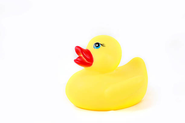 istock Rubber yellow duck isolated on white background 509002271