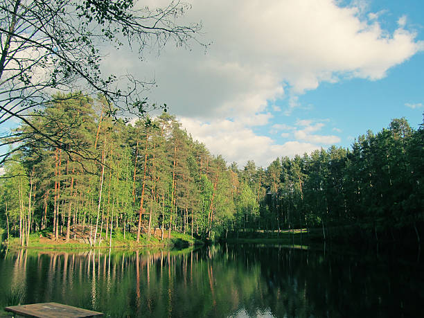 Forest lake under blue cloudy sky. River and spring forest. Nature composition.