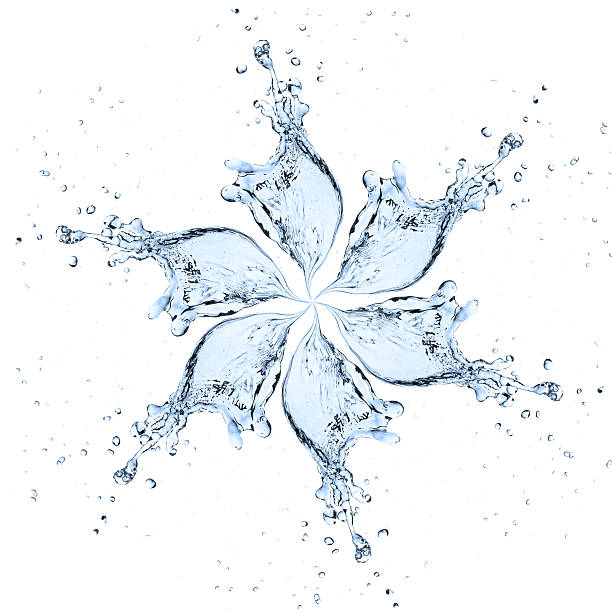 istock flower made of water splash 509002865