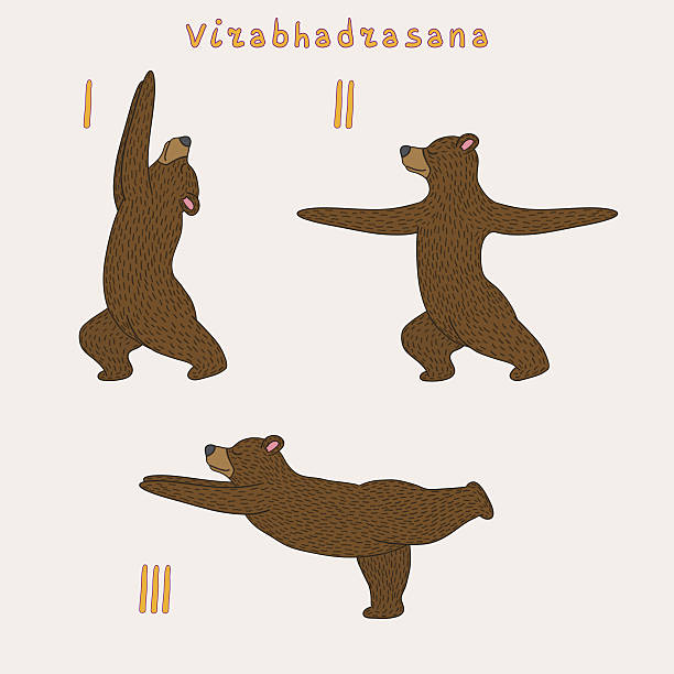 Illustration of three yoga bears Illustration of three yoga bears - virabhadrasana pose tibetan ethnicity stock illustrations