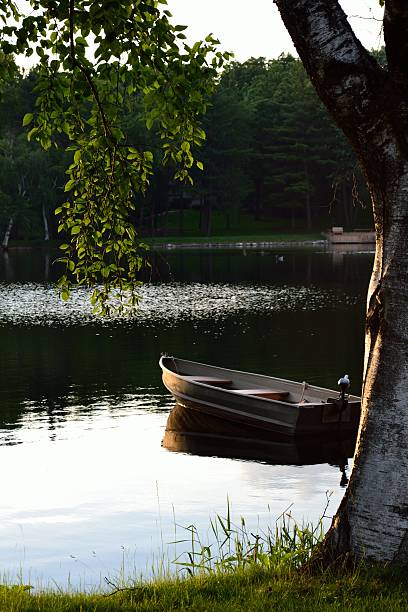 istock Empty wooden boat resting by the birch 509005959