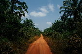 African Dirt Road