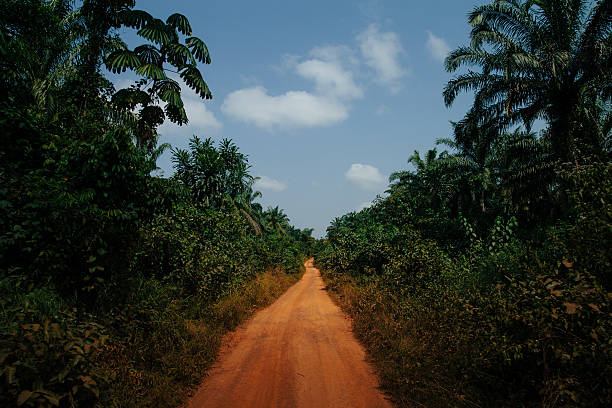 afro dirt road - liberia - fotografias e filmes do acervo