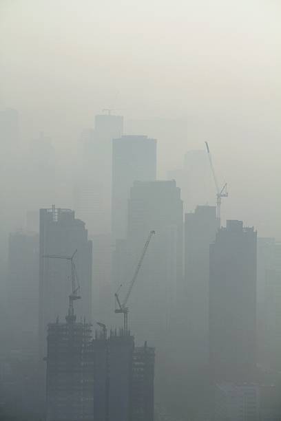 istock Buildings under construction with cranes in misty sunrise 509018810