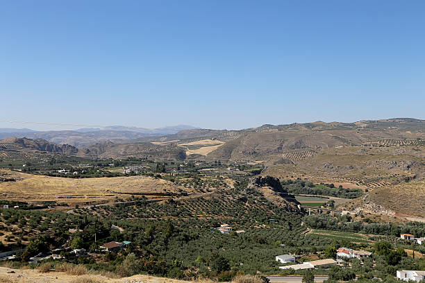 istock Typical rural landscape . Andalusia, Spain 509019878