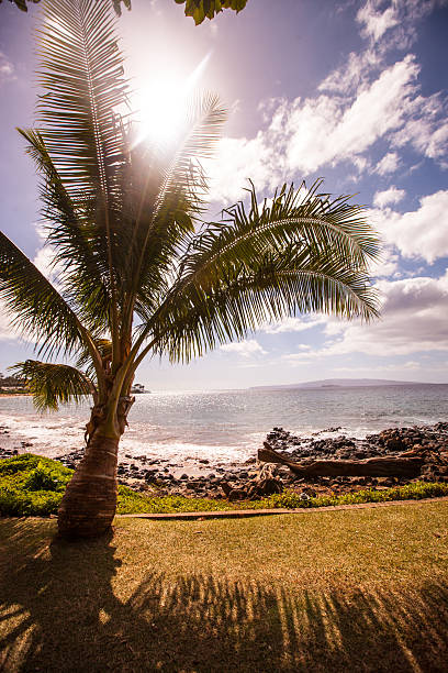 Wailea beach, Hawaii, USA