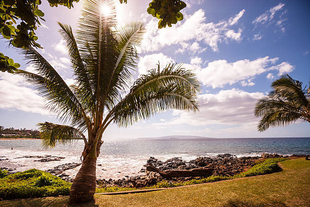 istock Wailea beach, Hawaii, USA 509025092