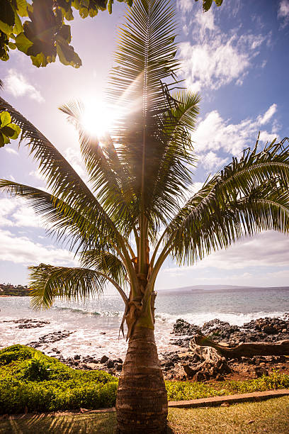 istock Wailea beach, Hawaii, USA 509025208