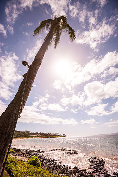 istock Wailea beach, Hawaii, USA 509025320