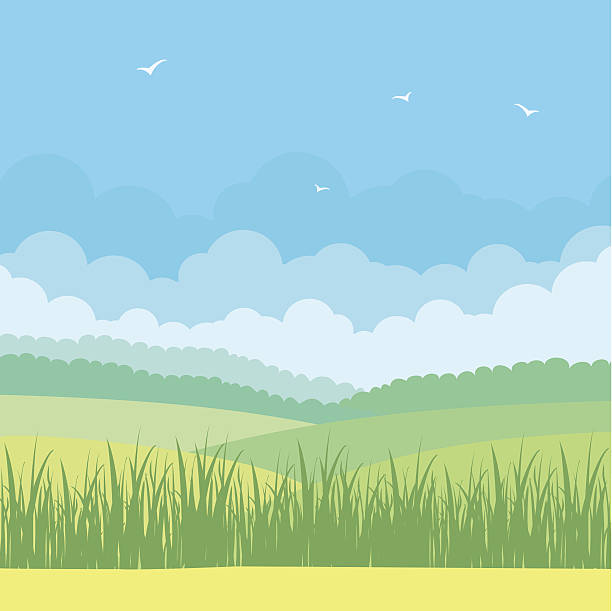 Natur Landschaft mit blauem Himmel und Felder – Vektorgrafik