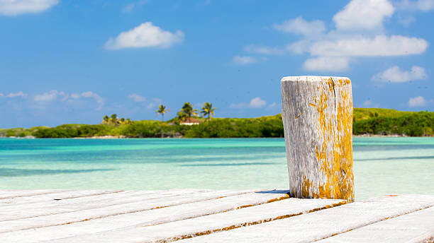 istock Wooden pier on tropical island 509027367