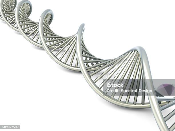 Dna Strand Stock Photo - Download Image Now - Abstract, Bacterium, Biochemistry