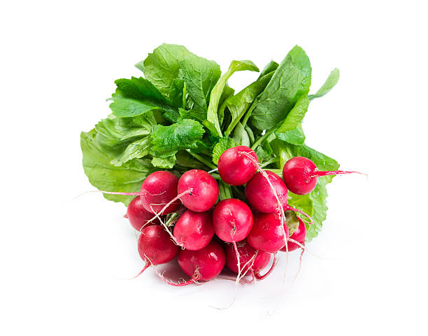 istock Bunch of radishes 509027987