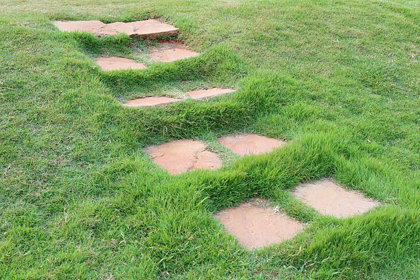 istock The stone path through on green grass in the garden. 509028182