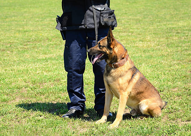 istock K9 police officer with his dog 509030745