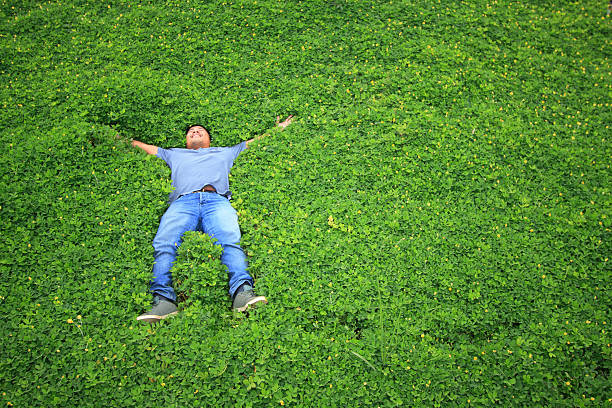 istock Man on the grass or people sleep in the garden 509031995