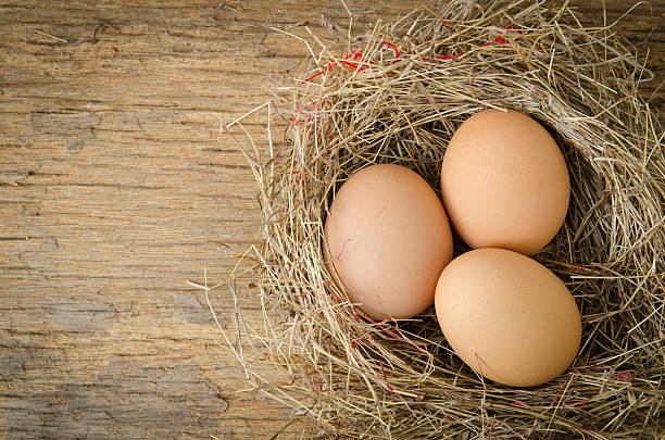 istock eggs in nest on wooden background 509033349
