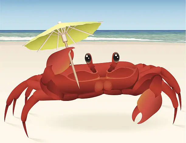 Vector illustration of Beach Crab