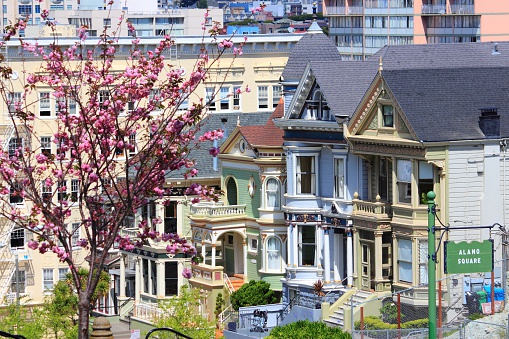 San Francisco, California, United States - Painted Ladies, Victorian homes at Alamo Square (Western Addition neighborhood).