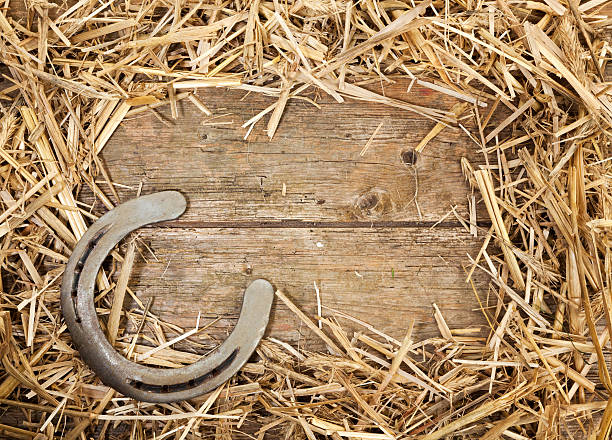 istock horse shoe and straw frame on rustic wood 509035096