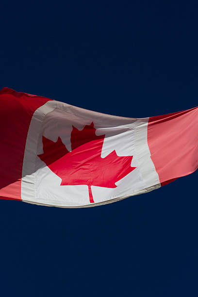 istock Canadian Flag Blowing in Wind 509040370