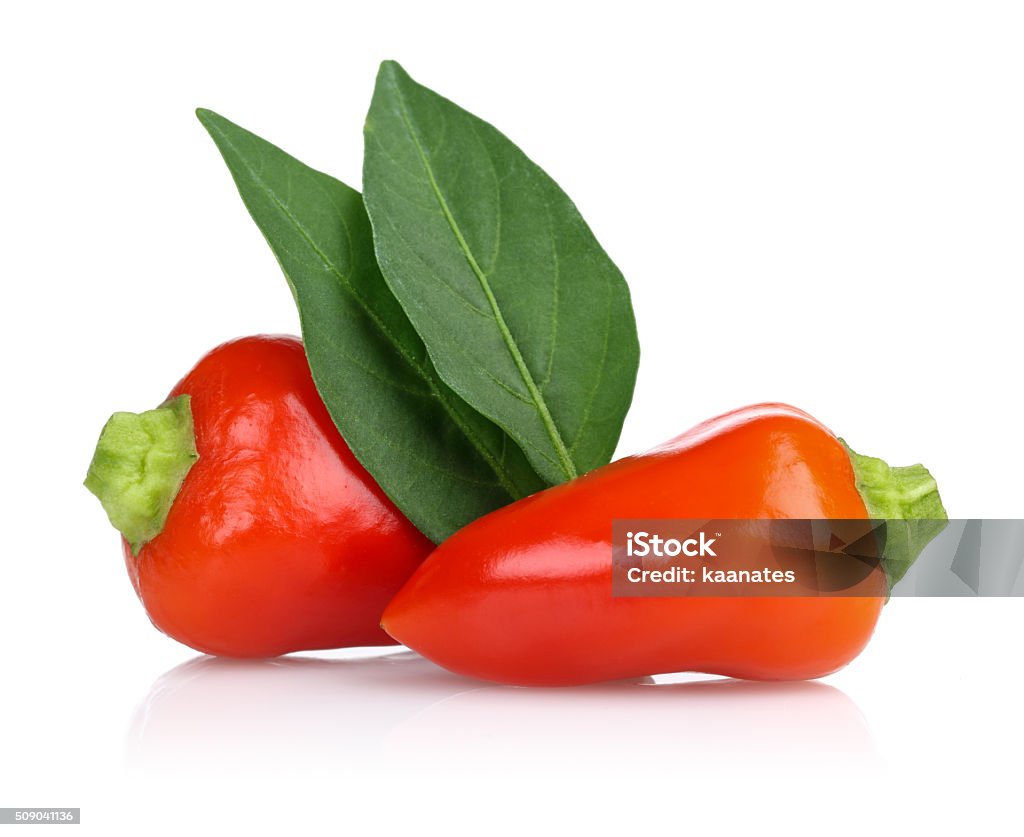 hot chili peppers hot chili pepper isolated on white background. Arrangement Stock Photo