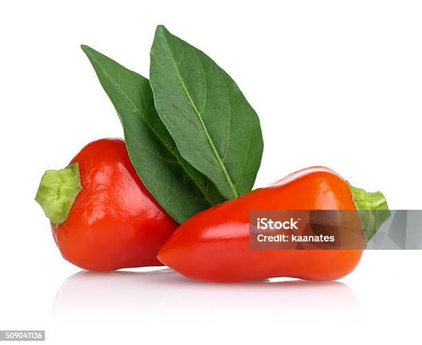 Hot Chili Peppers Stock Photo - Download Image Now - Arrangement, Cayenne Pepper, Chili Pepper