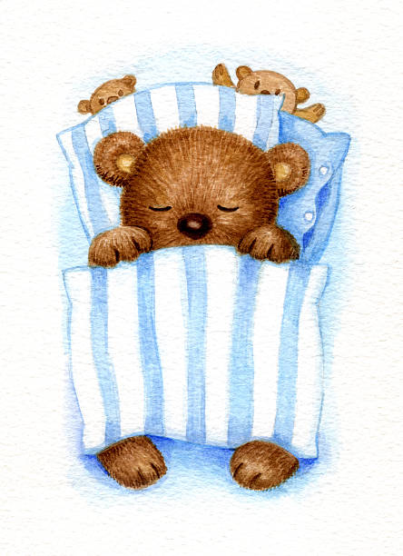 bär schlafen. - baby blanket illustrations stock-grafiken, -clipart, -cartoons und -symbole