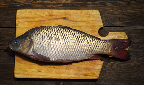 istock raw fish on wooden table as background 509045466