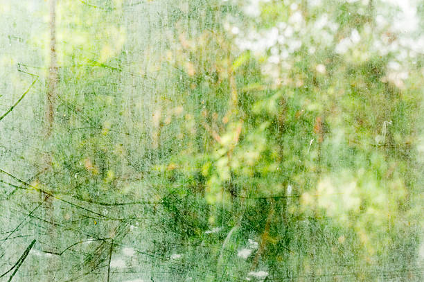 istock Dirt on the glass window 509046350