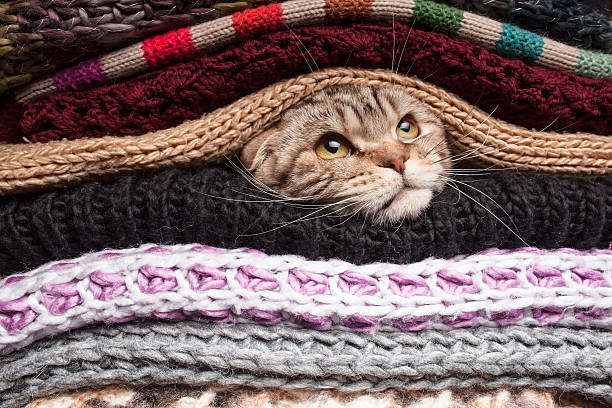 istock Pile of woolen clothes 509047056