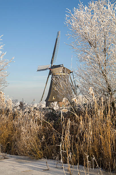 istock Dutch windmill in frosted landscape 509047266
